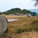 달성2차5로 이미지