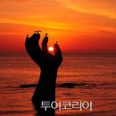 포항바다화석박물관 이미지