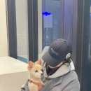 견생냥품 무인24시 동탄 산척점 | [동네] 동탄 24시 셀프빨래방 세탁풍경 동탄산척점 이용후기