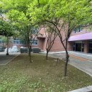 시흥매화초등학교 이미지