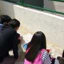 염포초교 병설유치원 이미지