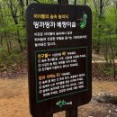 전북도청도서관 | [전북 1박2일 여행] Day2, ‘건지산 편백나무 산책로’에서 힐링하기 (건지산,현대옥 본점,전주 월드컵...