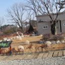 솜니움트리 이미지