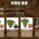 훈이네땅콩 이미지