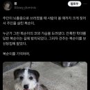 개화(아) 이미지