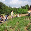 수원시 푸른 녹지사업소 이미지