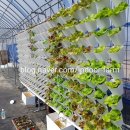 서암리농장 이미지