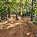 황토메타길 이미지