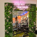 온리스포츠 이미지