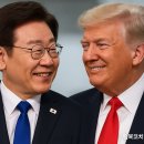 세상의 정상에서