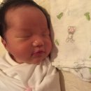 포일동(안양시계) | [후기] 청계 라움 산후조리원