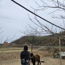유동연못 무인카페