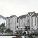 (주)한국그린피아 네이버블로그