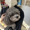 그루밍솔루션 구로점 네이버블로그