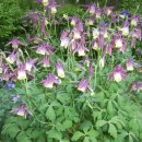 평촌고등학교 이미지