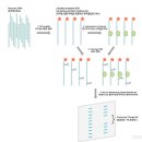 과학(전기)실험 이미지