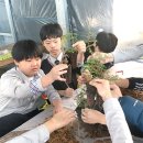 [새해기획/한국의 ‘가족농’이 사는 법] 축령산에 터잡은 삼대 &#39;전남 장성 백련동편백농원&#39; 이미지