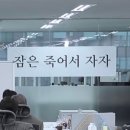잔디과학