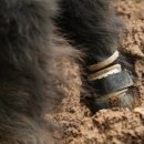 의족보조기센터 이미지