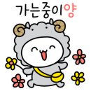 연안애견 이미지