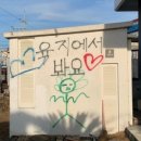 함덕 친척집 이미지