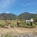 내양마을 이미지