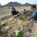 김영배농장 이미지