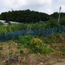 뉴신도시공인중개사사무소 이미지