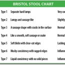 괴정동물병원 이미지