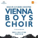 2025 빈 소년 합창단 신년음악회 이미지