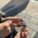 호텔 엔와이70(NY70) | [미국/뉴욕] 우드버리 아울렛 버스 티켓 구입, 가는 방법, 폴로 쇼핑 후기 총정리