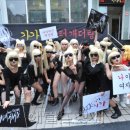 가가오토 헤럴드경제