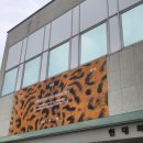 부귀영화와 한국민화 | 현대화랑] 삼청동 <장엄과 창의: 한국 민화의 변주> 전시 강추 후기, 작품 소개 - 미학의 절정을 이룬...