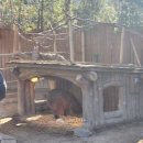 뿌빠노래타운 이미지