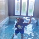 태안 알로하오에 애견풀빌라 | 태안 독채펜션 추천｜강아지동반 가능한 핀란드 사우나 숙소 내돈내산 알로하오에 애견풀빌라