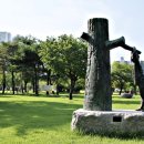 출토96 소나무 이미지