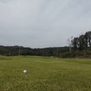 모나크cc 이미지