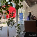 테이퍼드커피 (Tapered coffee)