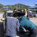 남도자동차공업사 이미지