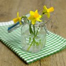 보훈행정사사무소 이미지