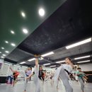 용인대 월드 태권도장 이미지