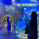 오대양피부관리 | 여수 가볼만한곳 아쿠아플라넷 아쿠아리움 뮤지엄오브컬러 관광필수코스 내돈내산 솔직후기
