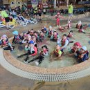 우리태권도장 이미지