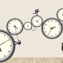 호원 태권도장 이미지