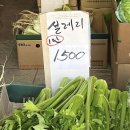 좋은날들 이미지