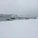 지연농장 이미지