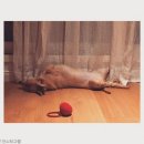 효심라이프