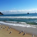 풍정빌딩 이미지