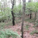 불목농장 이미지