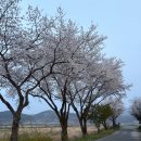 무금로 | 금산 봉황천 민물원투 낚시 후기｜대전 근교 한적하게 즐기기 좋은 민물낚시 포인트